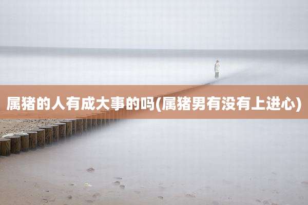 属猪的人有成大事的吗(属猪男有没有上进心)