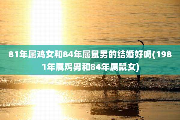 81年属鸡女和84年属鼠男的结婚好吗(1981年属鸡男和84年属鼠女)