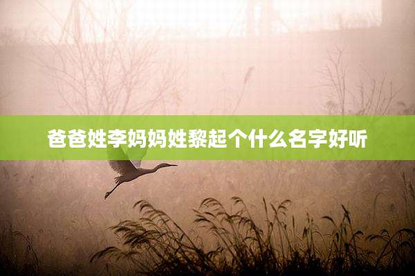 爸爸姓李妈妈姓黎起个什么名字好听