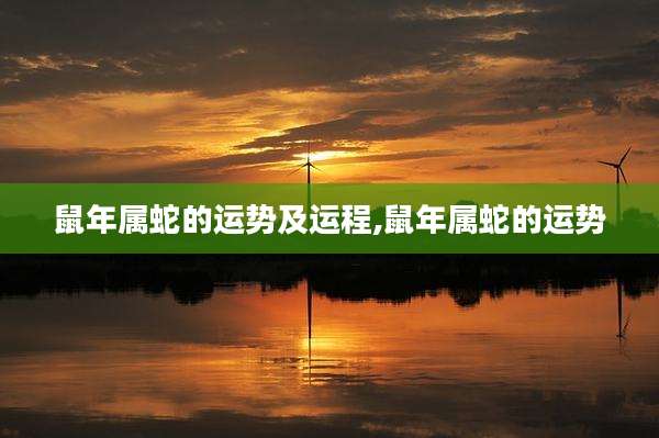 鼠年属蛇的运势及运程,鼠年属蛇的运势