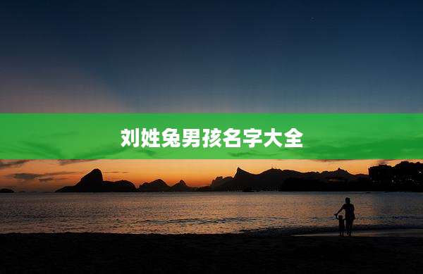 刘姓兔男孩名字大全