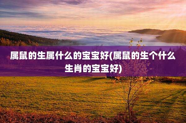 属鼠的生属什么的宝宝好(属鼠的生个什么生肖的宝宝好)