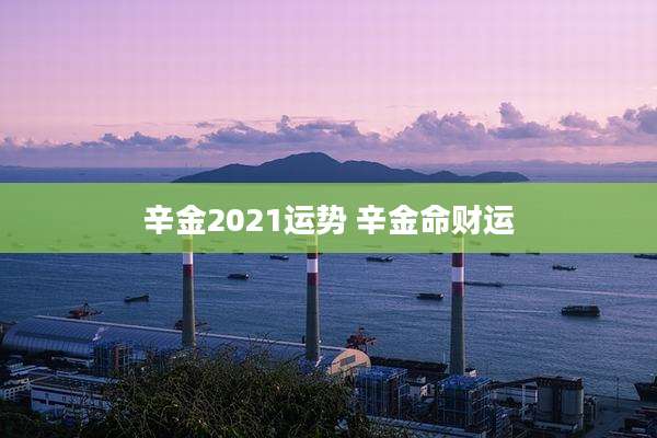 辛金2021运势 辛金命财运