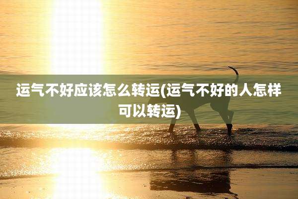 运气不好应该怎么转运(运气不好的人怎样可以转运)