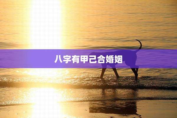 八字有甲己合婚姻