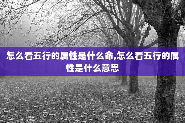 怎么看五行的属性是什么命,怎么看五行的属性是什么意思