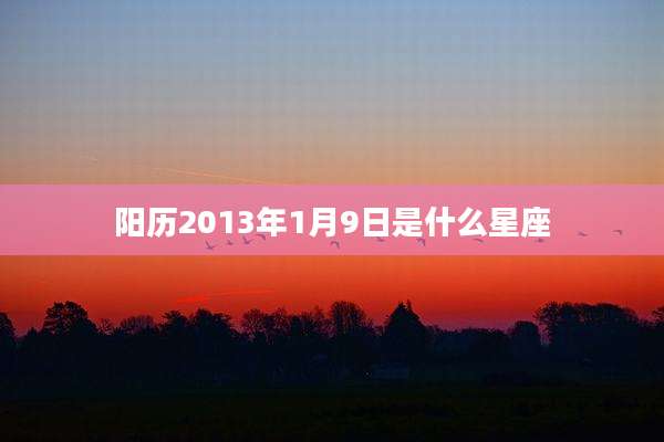 阳历2013年1月9日是什么星座