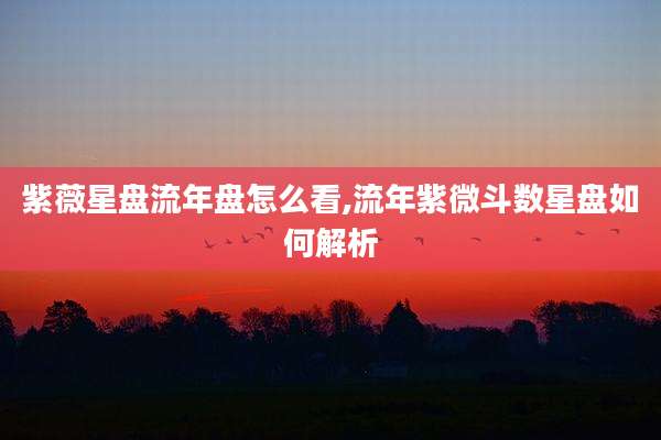 紫薇星盘流年盘怎么看,流年紫微斗数星盘如何解析