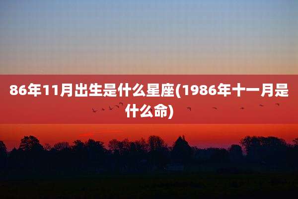 86年11月出生是什么星座(1986年十一月是什么命)