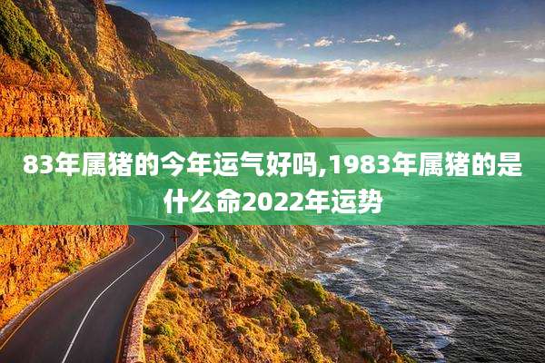 83年属猪的今年运气好吗,1983年属猪的是什么命2022年运势