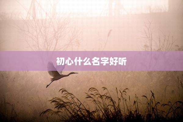 初心什么名字好听