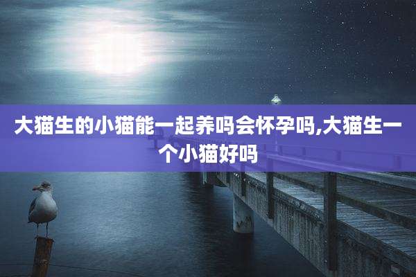 大猫生的小猫能一起养吗会怀孕吗,大猫生一个小猫好吗