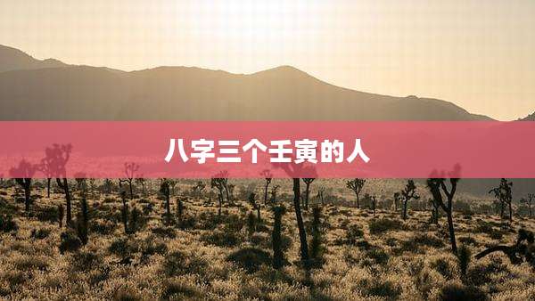 八字三个壬寅的人
