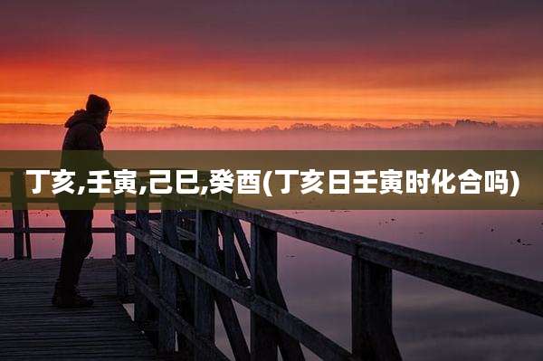 丁亥,壬寅,己巳,癸酉(丁亥日壬寅时化合吗)