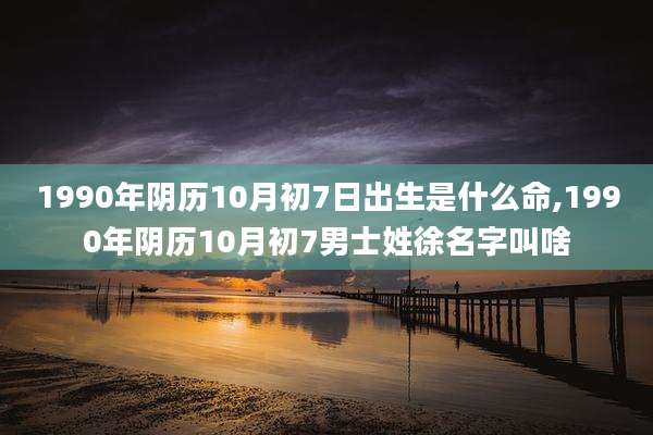 1990年阴历10月初7日出生是什么命,1990年阴历10月初7男士姓徐名字叫啥