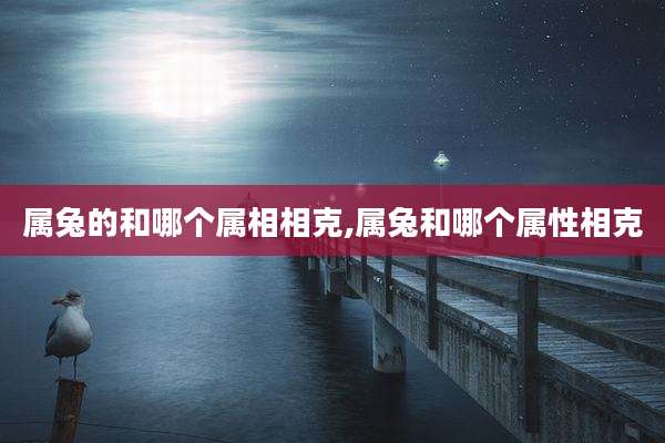 属兔的和哪个属相相克,属兔和哪个属性相克