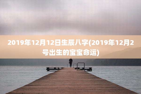 2019年12月12日生辰八字(2019年12月2号出生的宝宝命运)