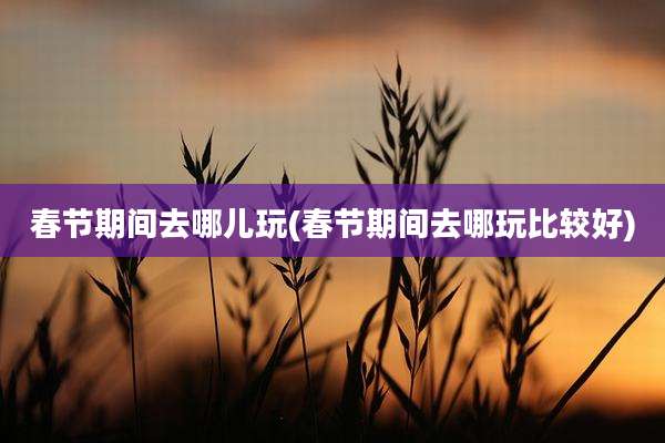 春节期间去哪儿玩(春节期间去哪玩比较好)