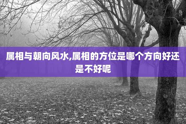 属相与朝向风水,属相的方位是哪个方向好还是不好呢