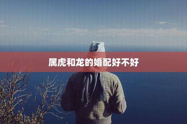 属虎和龙的婚配好不好