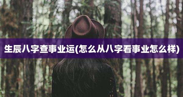 生辰八字查事业运(怎么从八字看事业怎么样)