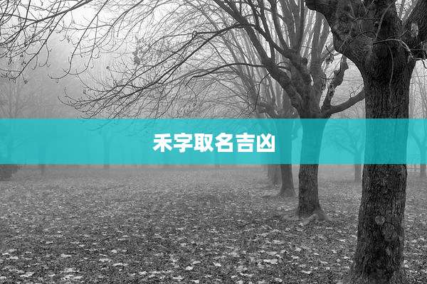 禾字取名吉凶