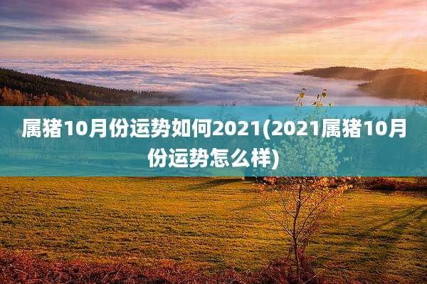 属猪10月份运势如何2021(2021属猪10月份运势怎么样)