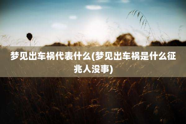梦见出车祸代表什么(梦见出车祸是什么征兆人没事)