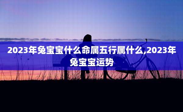 2023年兔宝宝什么命属五行属什么,2023年兔宝宝运势
