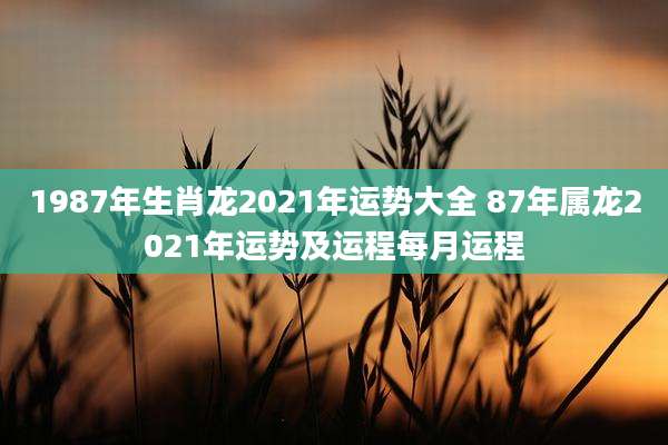 1987年生肖龙2021年运势大全 87年属龙2021年运势及运程每月运程
