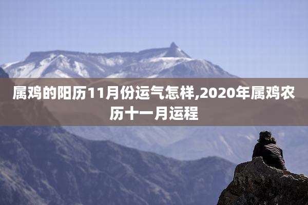 属鸡的阳历11月份运气怎样,2020年属鸡农历十一月运程