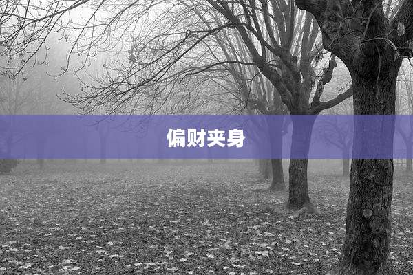 偏财夹身