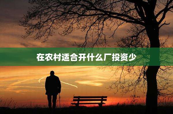 在农村适合开什么厂投资少
