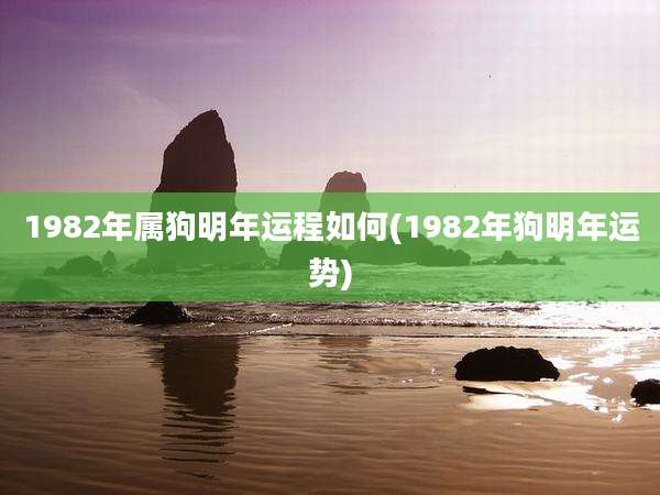 1982年属狗明年运程如何(1982年狗明年运势)