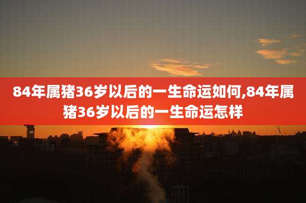 84年属猪36岁以后的一生命运如何,84年属猪36岁以后的一生命运怎样