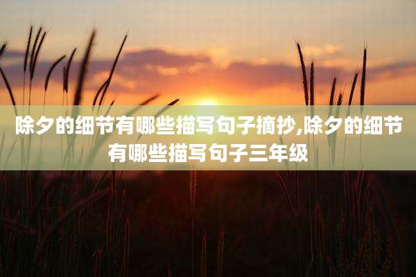 除夕的细节有哪些描写句子摘抄,除夕的细节有哪些描写句子三年级