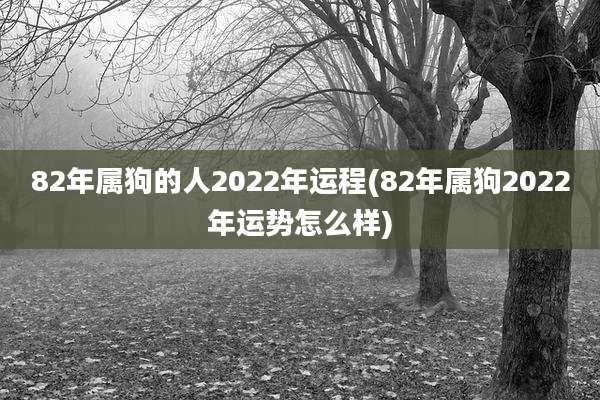 82年属狗的人2022年运程(82年属狗2022年运势怎么样)