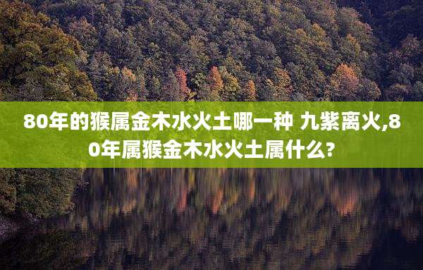 80年的猴属金木水火土哪一种 九紫离火,80年属猴金木水火土属什么?