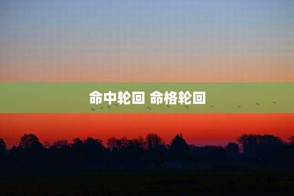 命中轮回 命格轮回