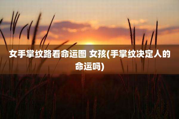 女手掌纹路看命运图 女孩(手掌纹决定人的命运吗)