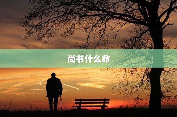 尚书什么命