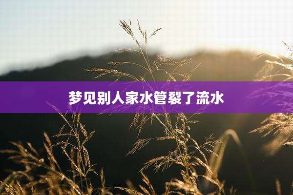 梦见别人家水管裂了流水