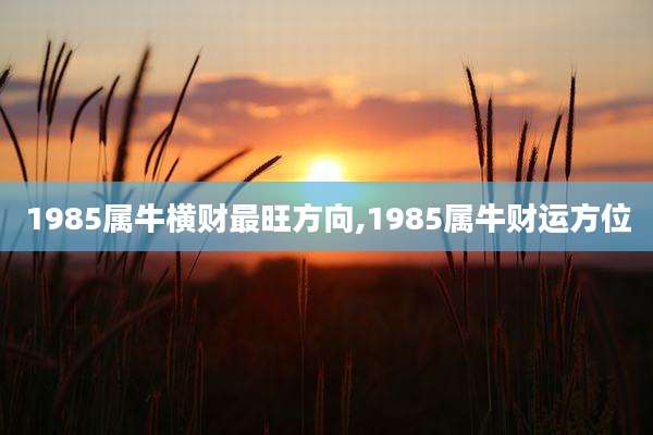 1985属牛横财最旺方向,1985属牛财运方位