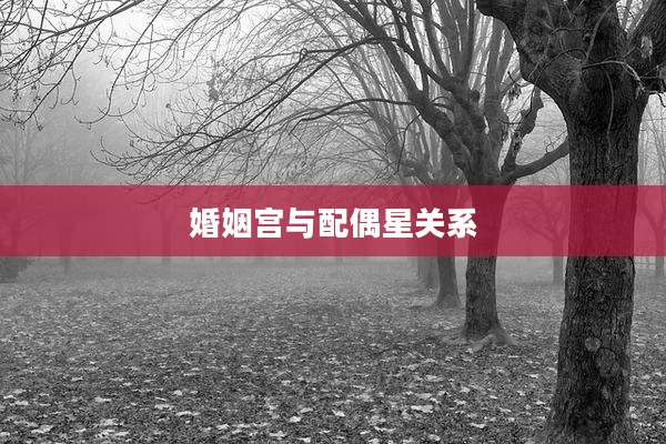 婚姻宫与配偶星关系