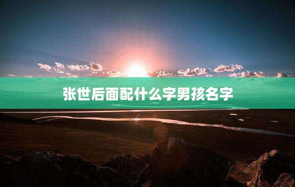 张世后面配什么字男孩名字