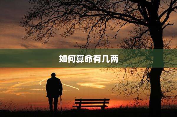 如何算命有几两