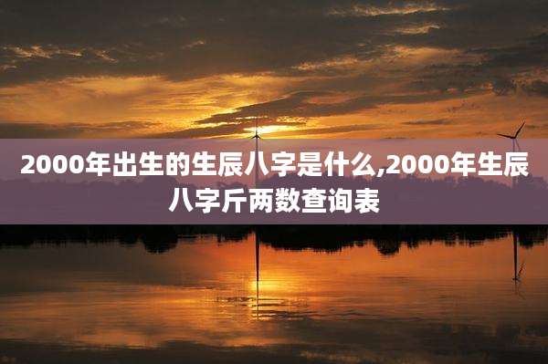 2000年出生的生辰八字是什么,2000年生辰八字斤两数查询表