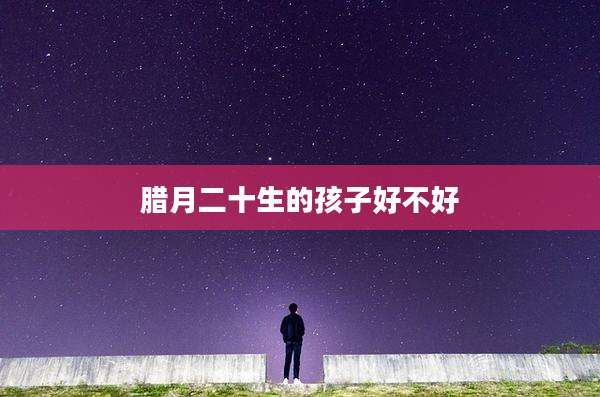 腊月二十生的孩子好不好