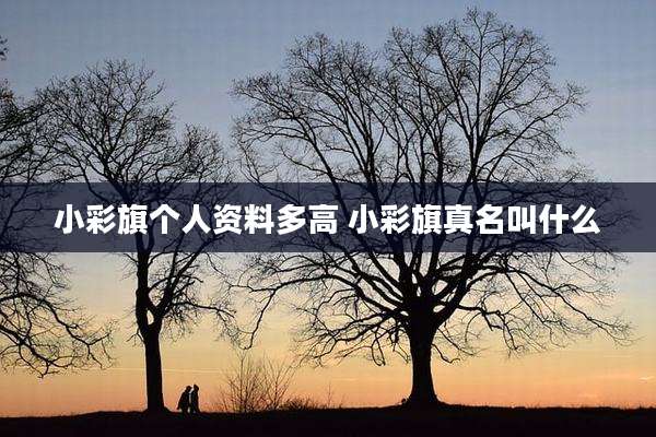小彩旗个人资料多高 小彩旗真名叫什么