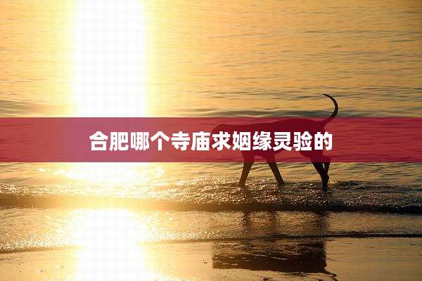 合肥哪个寺庙求姻缘灵验的